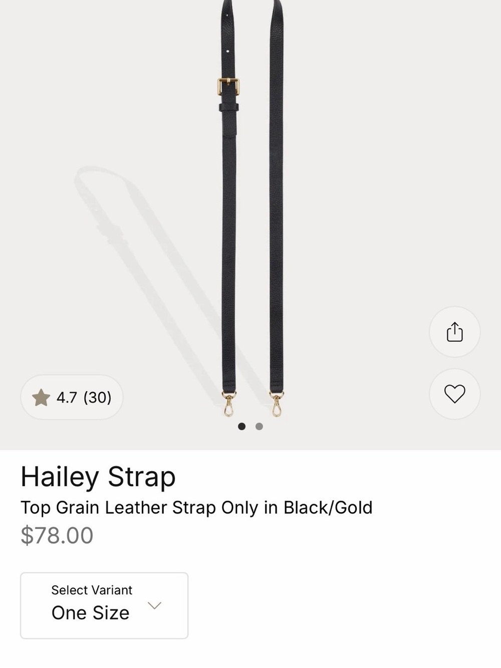 Bandolier Hailey Strap with Case